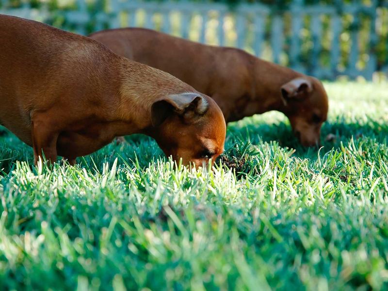 sudoku mind game screenshot 4